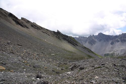 35517-0431